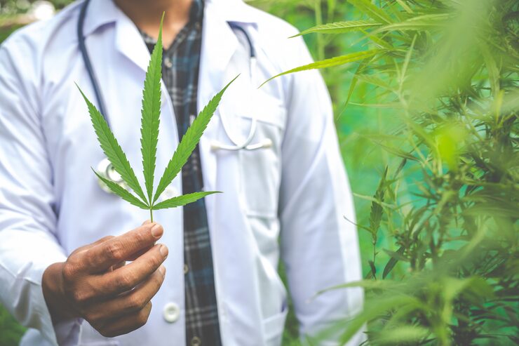 cannabis medicinal Medellín Colombia consulta médica Medicann IPS